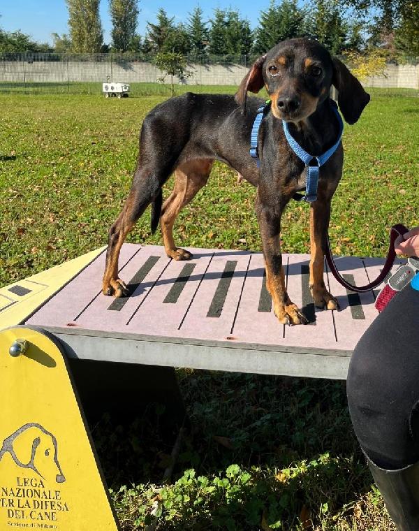 LUNA CAGNOLINA DOLCISSIMA Foto 2